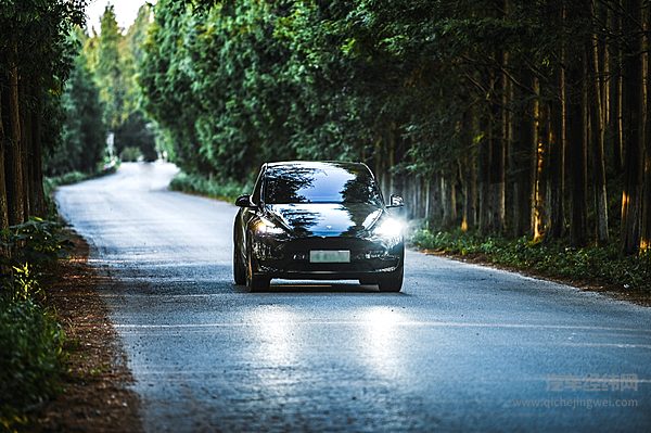 供货特斯拉的欧洲市场 比亚迪打的什么算盘？