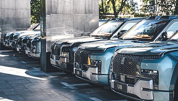 年销300万辆 比亚迪2024年能否延续优势？