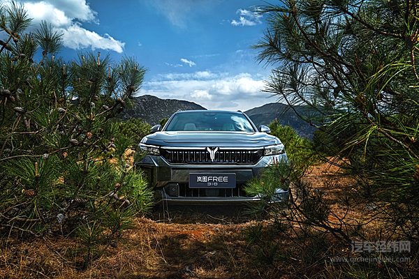 新能源国家队该如何翻身？