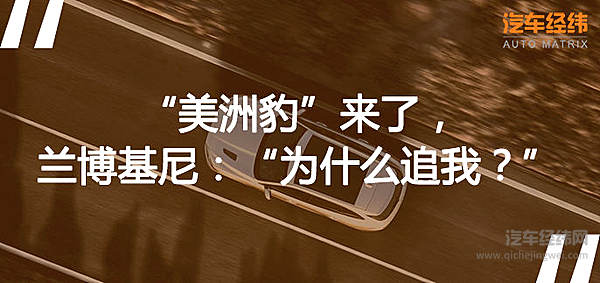 本以为是一位优雅的绅士 没想到却是如此“暴躁”！