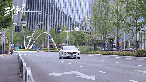 这些收视冠军里，原来都有「冠军」的身影