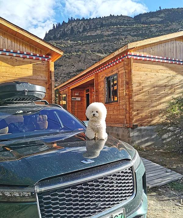 2年、3种极端环境、4万条标定数据 他们让车真正“活”起来