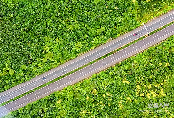 司法部、交通運輸部負(fù)責(zé)人就《農(nóng)村公路條例》答記者問