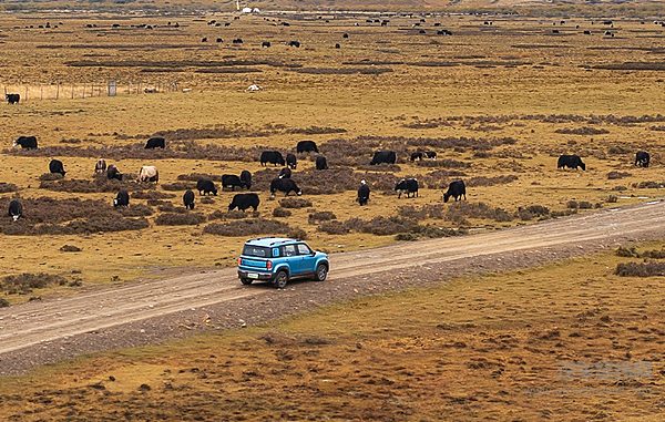 原地掉头平价化 比亚迪会不会被宝骏拉下马来？