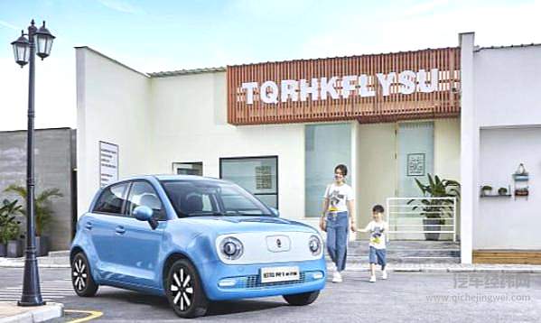 人大代表王凤英：应多措并举促进小型电动车快速发展！