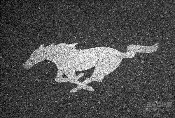 一匹脱缰野马的传奇故事