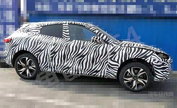 众泰福特 还未“结果”便已“凋零”