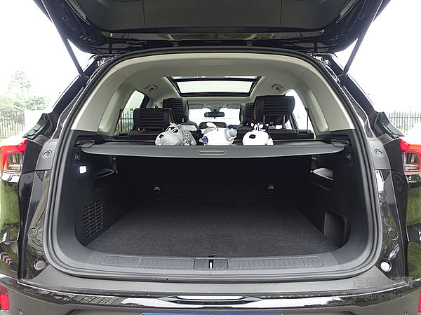 对话上汽MAXUS D60：我能给的 就是你想要的