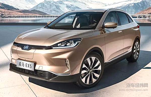 有人欢喜有人忧 2020年的新势力交出了什么样的答卷