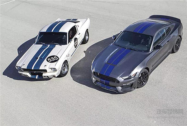 一匹脱缰野马的传奇故事