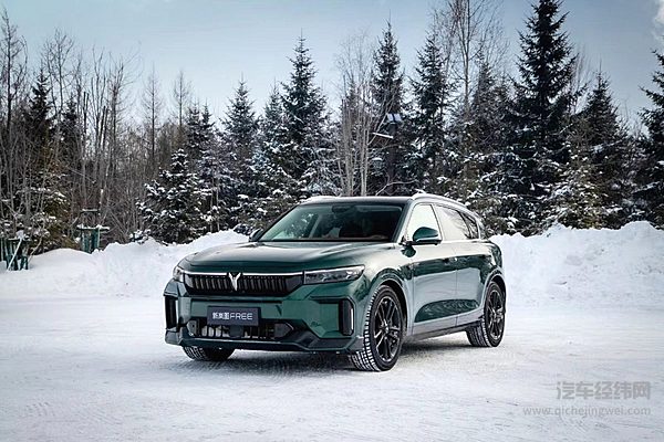 梦想家拿下半壁江山 岚图2024年前景如何？