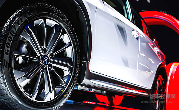 都去成都找“抖音小甜甜” 而我却想养活TA！