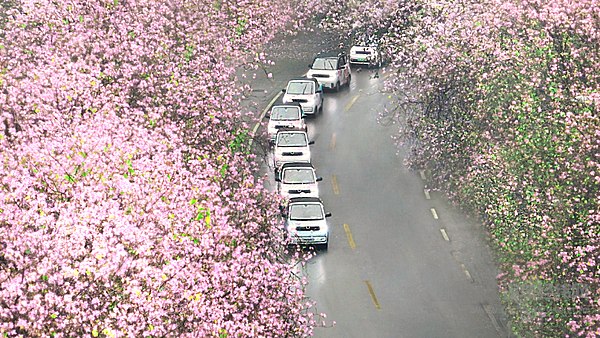 百万家庭信赖之选 五菱新能源至高10000元限时补贴 