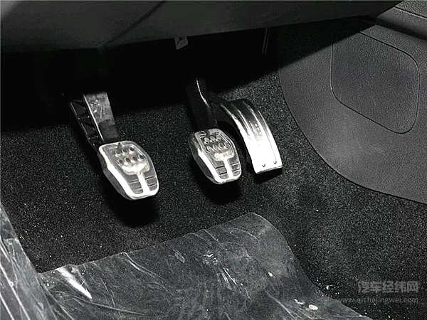 物种灭绝警告：致我们终将消失的手动挡！