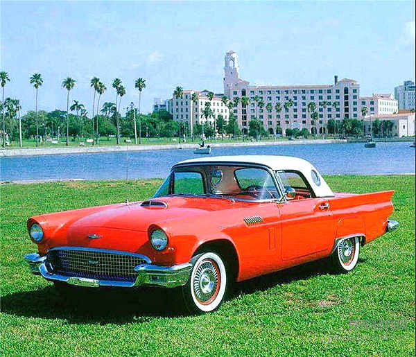 55岁的小马驹，生日快乐