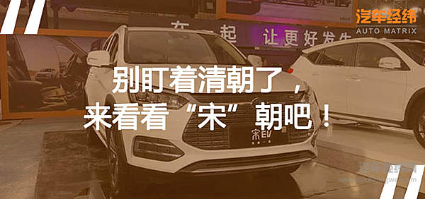 都去成都找“抖音小甜甜” 而我却想养活TA！