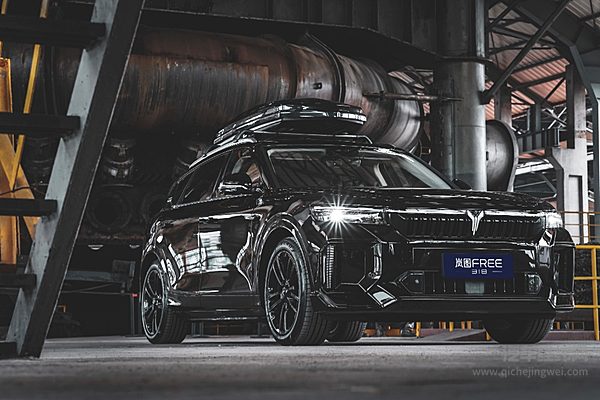 新能源国家队该如何翻身？