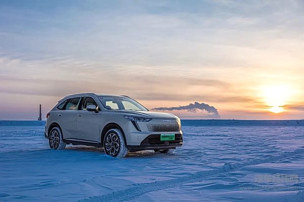 获奖车型：哈弗枭龙MAX