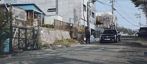 这些收视冠军里，原来都有「冠军」的身影