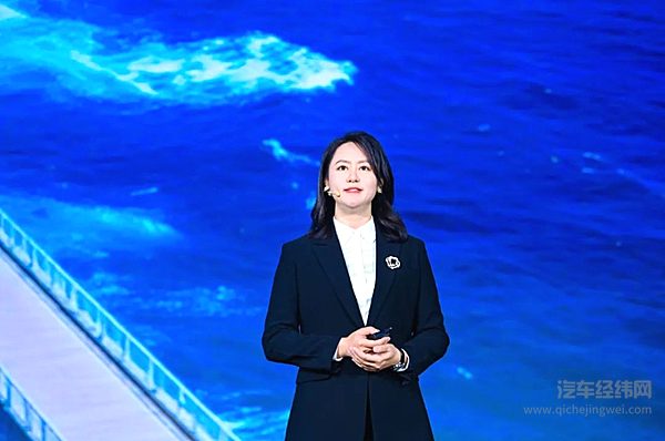 重庆九龙坡城乡运营集团有限公司总经理胡颖