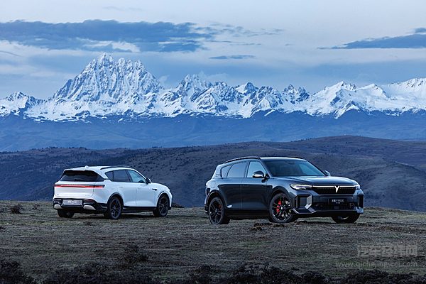 智能化水平大幅提升 岚图FREE 318是你的菜吗？