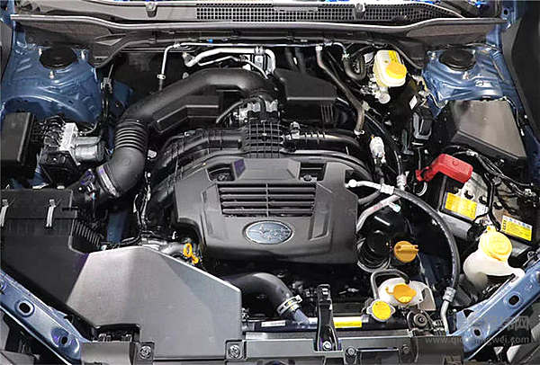 快节奏的生活过太久 森林人给你一个机会体验慢生活