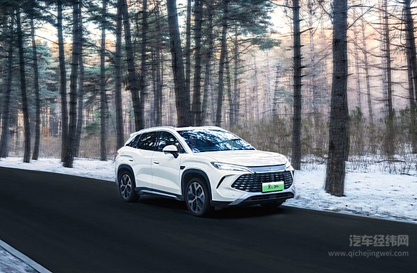 比亚迪正式加入国际汽车工作组 参与全球汽车标准制定