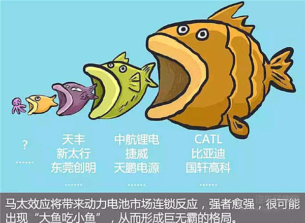 动力电池“白名单”来了，会如何影响全球新能源格局？