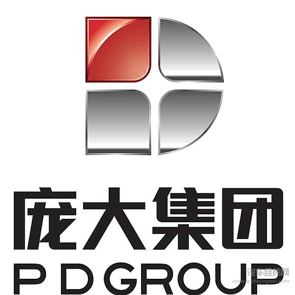 图片来源：庞大汽车