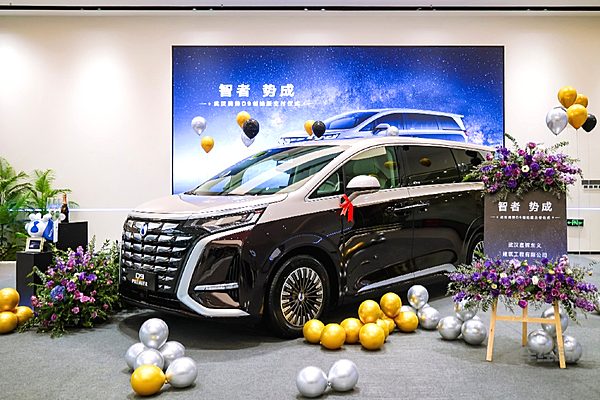 风格类似定位不同 瑞风RF8插混版能否挑战腾势D9？