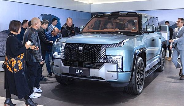 年销300万辆 比亚迪2024年能否延续优势？