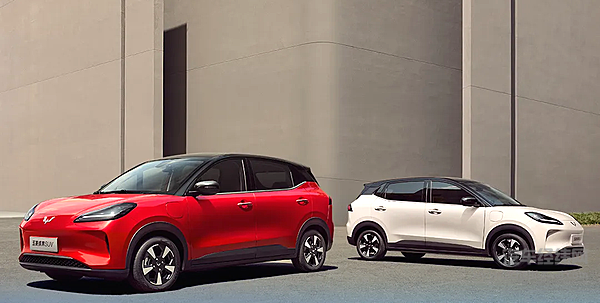 上汽集团参加 “中欧电动汽车产业链企业座谈会”