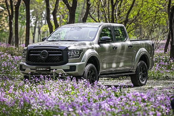 山海无界带电去野，山海炮Hi4-T正式上市，建议零售价22.88万元起