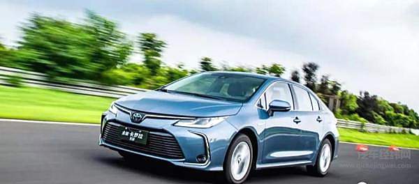 2019车企“生育能力”排行榜！要想富多生孩子能种树