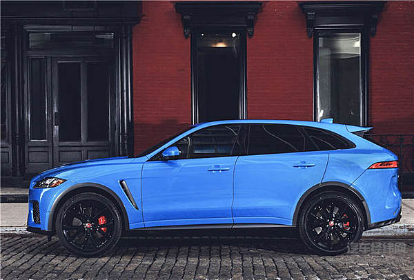 “新欢”突然出现 哪一款才是你的菜？