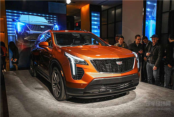 “新欢”突然出现 哪一款才是你的菜？