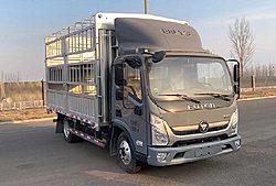 福田奧鈴ATV 180馬力 4X2 3.83米 倉(cāng)柵式國(guó)六輕卡載貨車 (萬(wàn)里揚(yáng)變速箱)(BJ5048CCY9JEA-AB2)