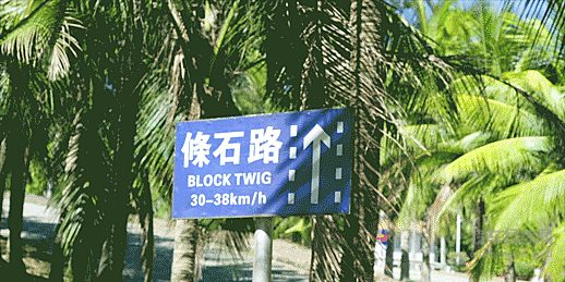 不同路面的挑战即将开始