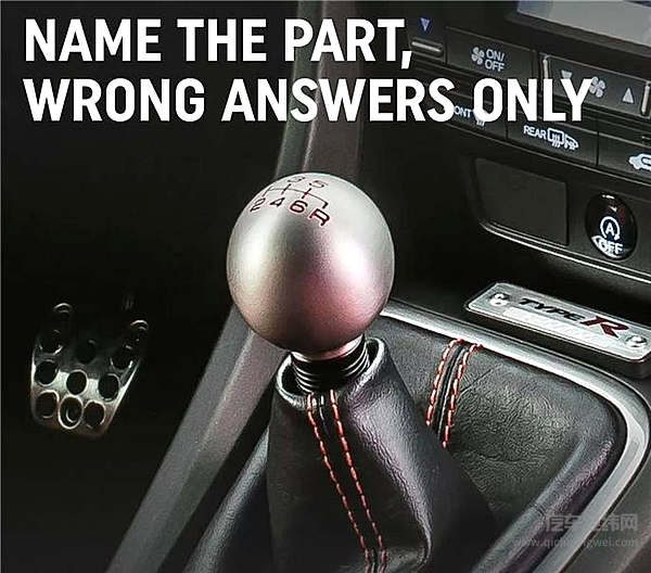 物种灭绝警告：致我们终将消失的手动挡！