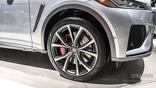 “新欢”突然出现 哪一款才是你的菜？