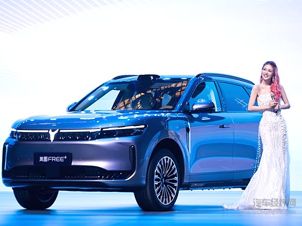 实力唱将薛凯琪助阵2025岚图用户之夜