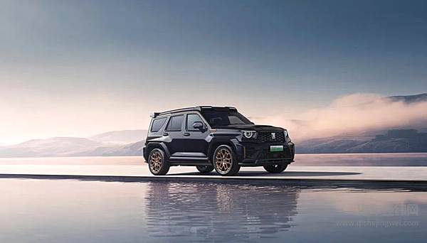 再创九大新高长城汽车2024年上半年营收914.29亿元同比增长30.67%