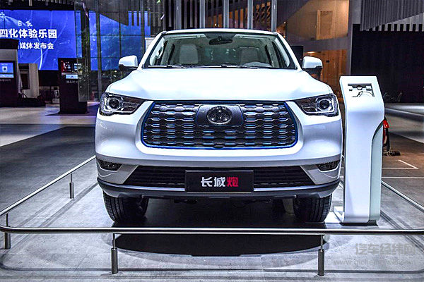 长城炮 商用皮卡电动版