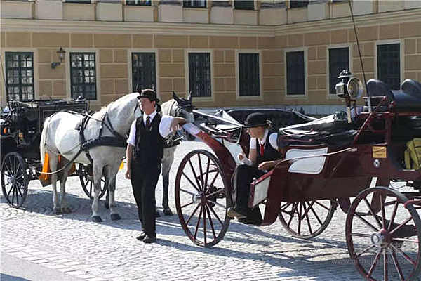 聊聊经典，探探未来，扒一扒发动机的发展和未来