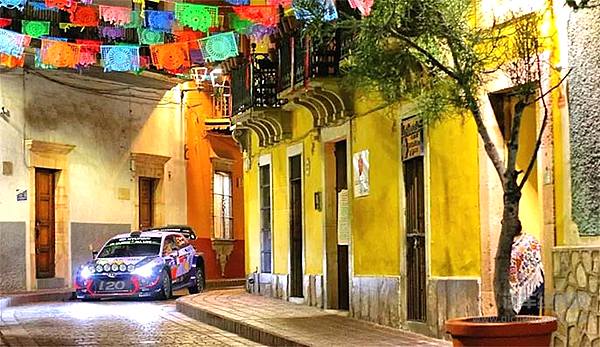 WRC福特又赢了 勒布爆胎无缘领奖台