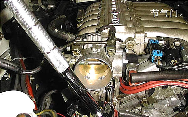 涡轮车里都养了一只鸟？