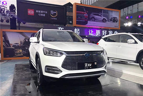 都去成都找“抖音小甜甜” 而我却想养活TA！