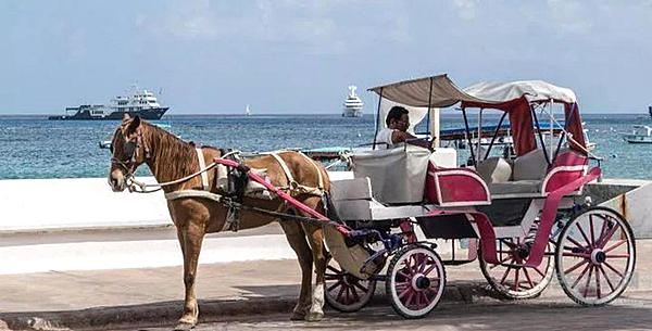 传统车企面对自动驾驶如何入门？首先要解决哪些基本问题？