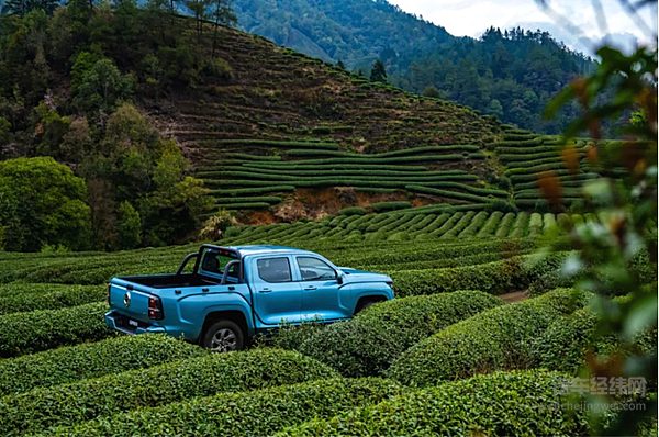 长城皮卡1-6月全球累计销售91916辆国内市占率近50%蝉联皮卡销冠