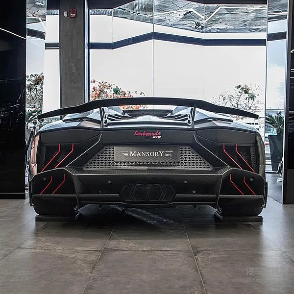 全球限量一台MANSORYCarbonadoEVO